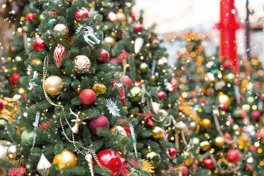 Similar image 21902094