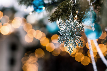 Similar image 21902095