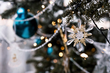 Similar image 21902097