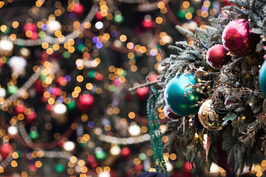 Similar image 21902099