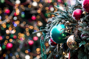 Similar image 21902101