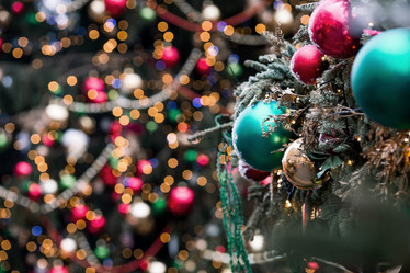 Similar image 21902105