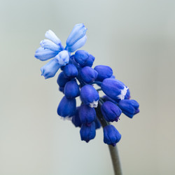 Similar image 21894914