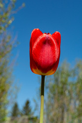 Similar image 21894915