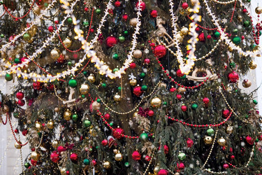 Similar image 21902118