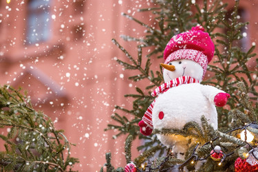 Similar image 21902127