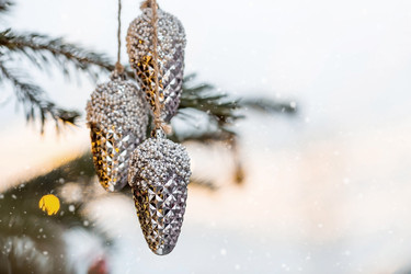 Similar image 21902133