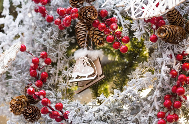 Similar image 21902145