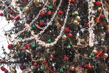 Similar image 21902149