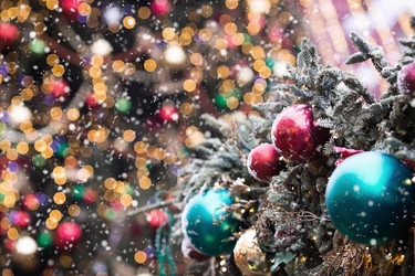 Similar image 21902157