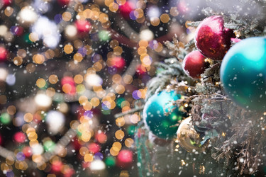 Similar image 21902159