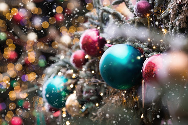 Similar image 21902694