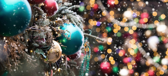 Similar image 21902697