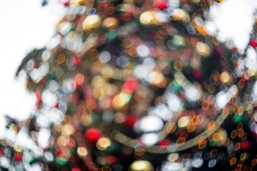 Similar image 21902770