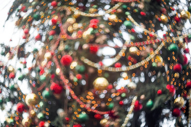 Similar image 21902771