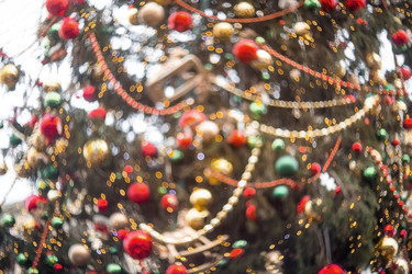 Similar image 21902782