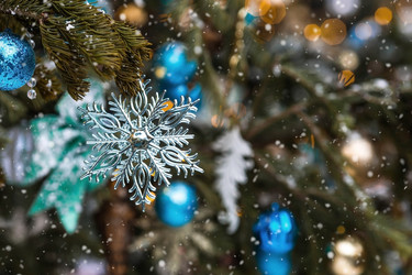 Similar image 21902786