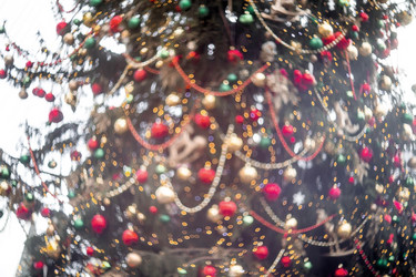 Similar image 21902788