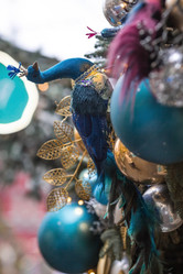 Similar image 21902792