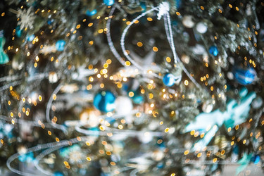 Similar image 21902162