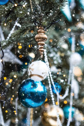 Similar image 21902163