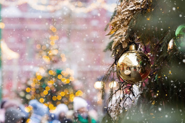 Similar image 21902164