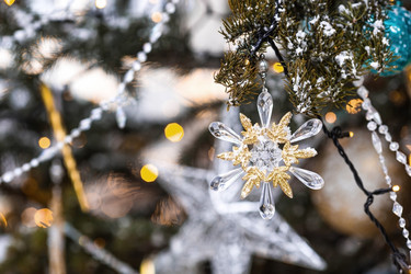 Similar image 21902169