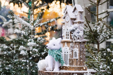 Similar image 21902176