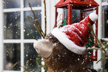 Similar image 21902178