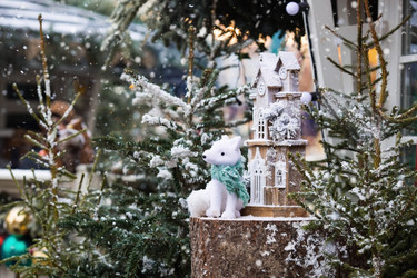 Similar image 21902180