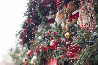 Similar image 21902182