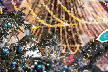 Similar image 21902185