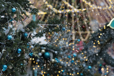 Similar image 21902539