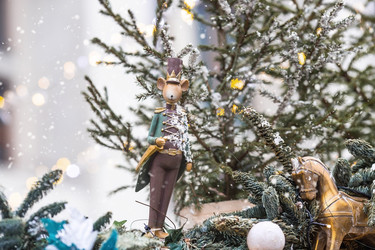 Similar image 21902543