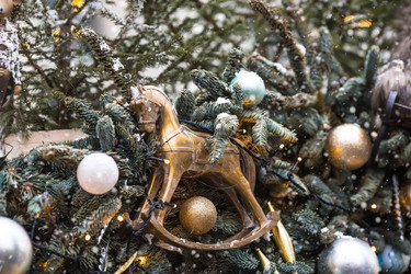 Similar image 21902545