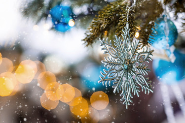 Similar image 21902549