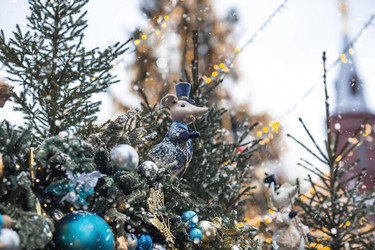 Similar image 21902551