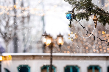 Similar image 21902553