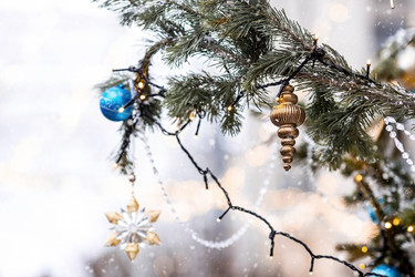 Similar image 21902557