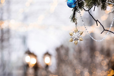 Similar image 21902558