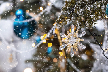 Similar image 21902560