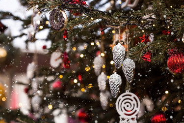 Similar image 21902564