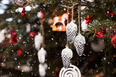 Similar image 21902565