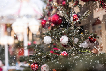 Similar image 21902190