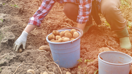 Similar image 21897190