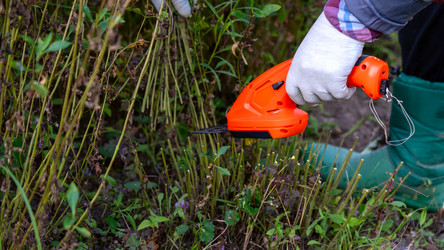 Similar image 21897194