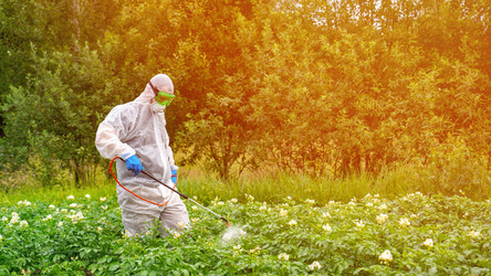 Similar image 21897198