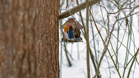 Similar image 21897208