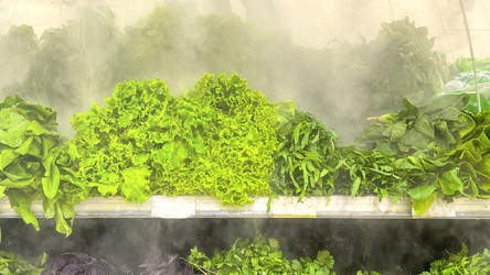 Similar image 21897209