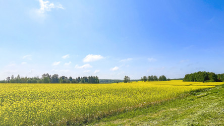 Similar image 21897212